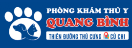 quang bình