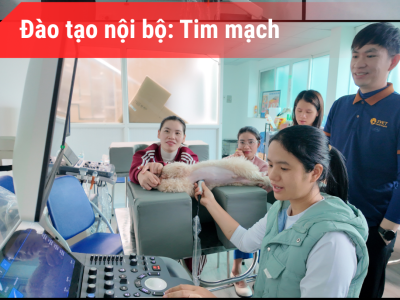 ĐÀO TẠO NỘI BỘ TIM MẠCH | 12/01/2026