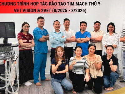 CHƯƠNG TRÌNH HỢP TÁC ĐÀO TẠO TIM MẠCH THÚ NHỎ 2VET x VET VISION