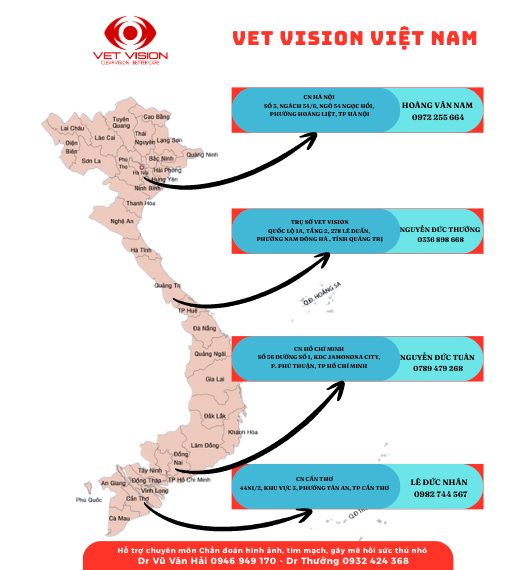VET VISION VIỆT NAM